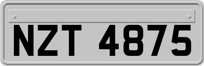 NZT4875