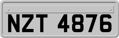 NZT4876