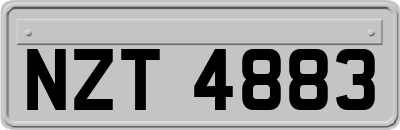NZT4883