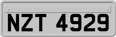 NZT4929