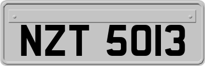 NZT5013