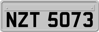 NZT5073