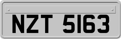 NZT5163
