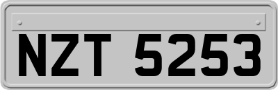 NZT5253