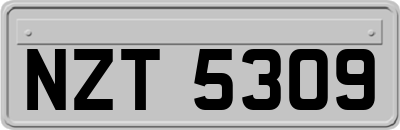 NZT5309
