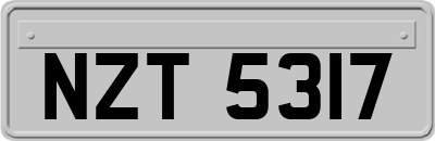 NZT5317