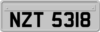 NZT5318