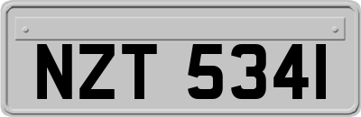 NZT5341