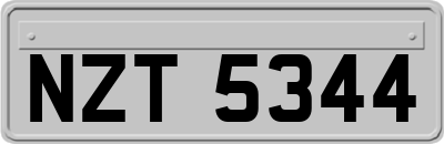 NZT5344