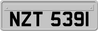 NZT5391