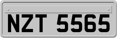 NZT5565