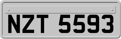 NZT5593