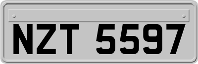 NZT5597