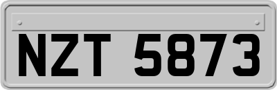 NZT5873