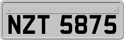 NZT5875