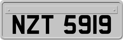 NZT5919