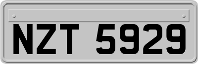 NZT5929