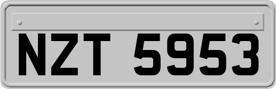 NZT5953