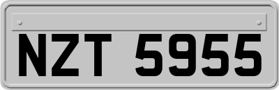 NZT5955