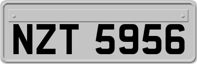 NZT5956