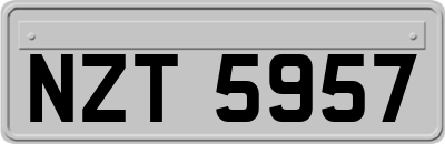 NZT5957