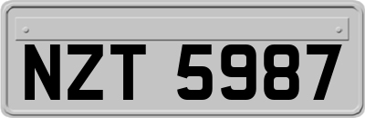 NZT5987