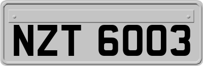 NZT6003
