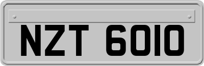 NZT6010
