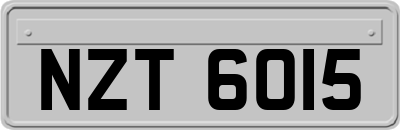 NZT6015