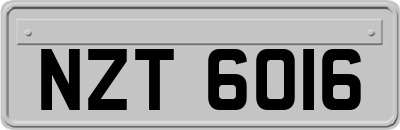 NZT6016