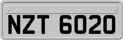 NZT6020