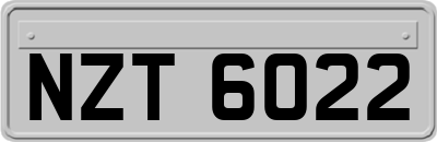 NZT6022