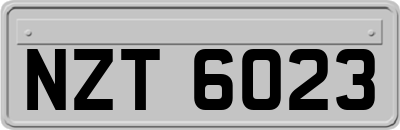 NZT6023