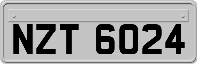 NZT6024