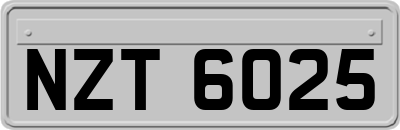 NZT6025