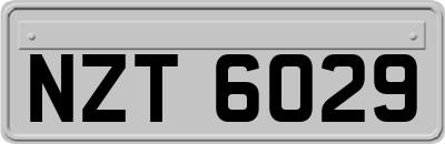 NZT6029