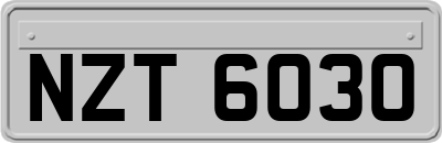NZT6030