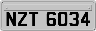 NZT6034
