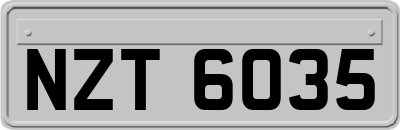NZT6035