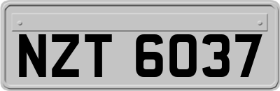 NZT6037