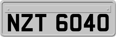 NZT6040
