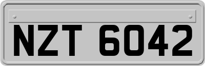 NZT6042