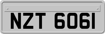 NZT6061