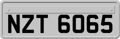 NZT6065