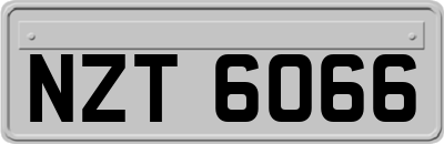 NZT6066