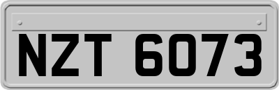 NZT6073
