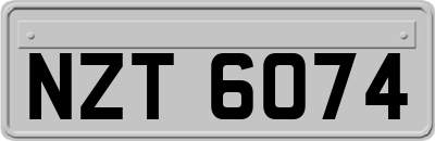 NZT6074