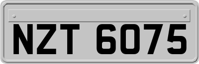NZT6075