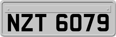 NZT6079
