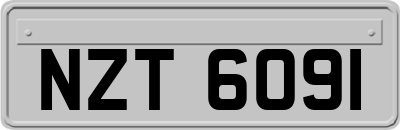 NZT6091